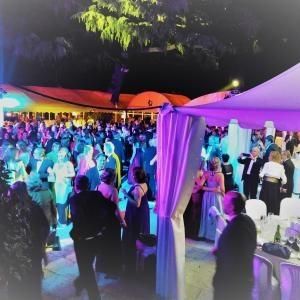 ESPECIAL PEREGRINA 2018