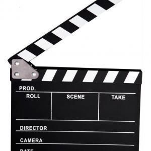 CASTING PARA CENA CON PRINCESAS Y PERSONAJES DISNEY