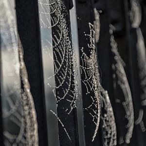 EXPOSICIÓN DE FOTOGRAFÍA Y POESÍA DE Mª JOSÉ SÁNCHEZ