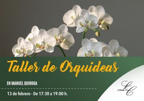 Taller de Orquídeas: formación práctica sobre trasplante y cuidados