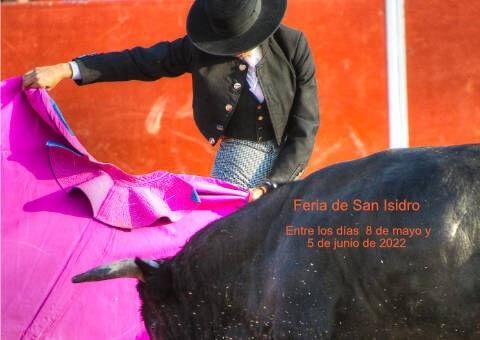 Feria de San Isidro