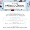 ACTIVIDADES CULTURALES