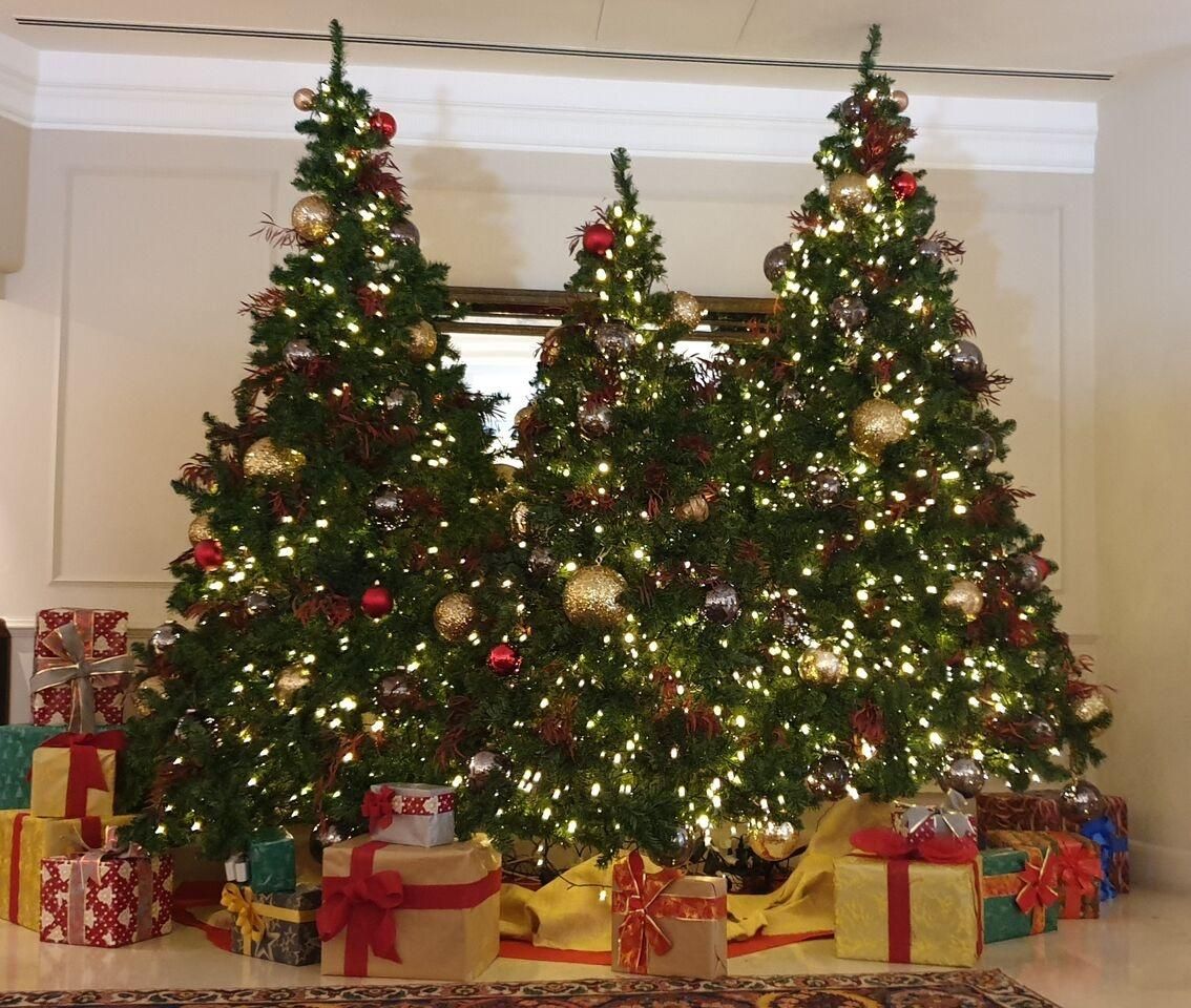PREPARANDO LA NAVIDAD